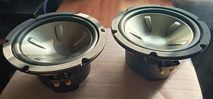Pioneer TS-W1000C bassikõlarid 2 tk. (3 foto / 5)
