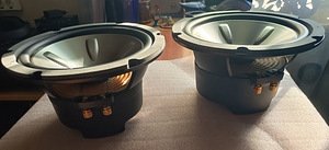 Pioneer TS-W1000C bassikõlarid 2 tk. (4 foto / 5)