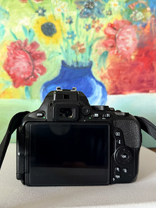Nikon d5600, nikkor 35mm 1:1.8G (3 foto / 3)