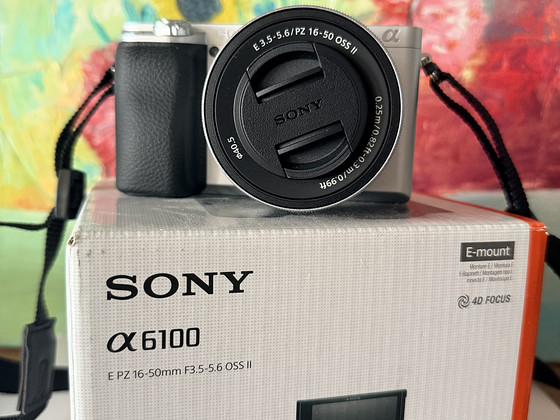 Sony a6100,kit 16-50 F3.5-5.6 OSS II