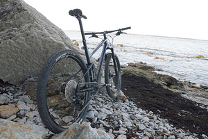 Uueväärne Vitus Rapide CRS FS carbon XC race/marathon MTB XL (2 foto / 7)