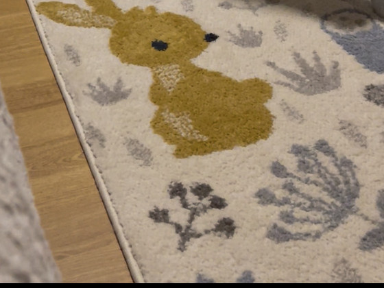 Vaip pärast keemilist puhastust