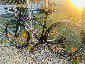 Specialized Vita Sport 28” S - рама! В хорошем состоянии! (1 фото из 8)