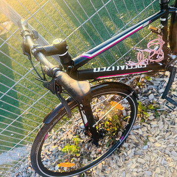 Specialized Vita Sport 28” S - raam ! Heas korras !