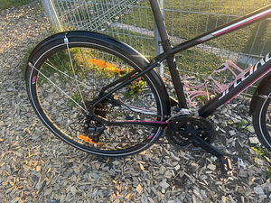 Specialized Vita Sport 28” S - рама! В хорошем состоянии! (8 фото из 8)
