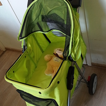 Kerge jalutuskäru