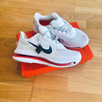 Nike Pegasus Premium