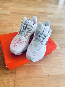 Nike Pegasus Premium (3 foto / 5)