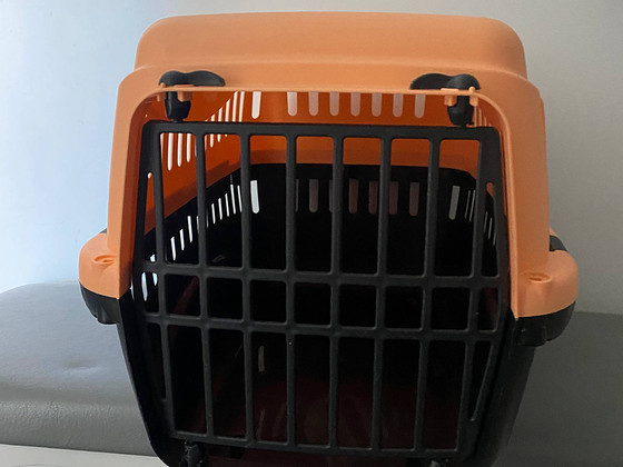 Kassi transpordipuur