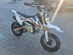 PITSTER PRO 60cc (1 фото из 3)
