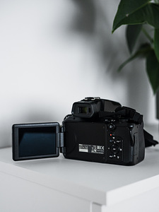 Фотоаппарат Nikon Coolpix P950 (5 фото из 5)