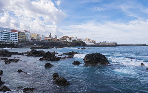 CHECKIN CONCORDIA PLAYA (4 фото из 10)