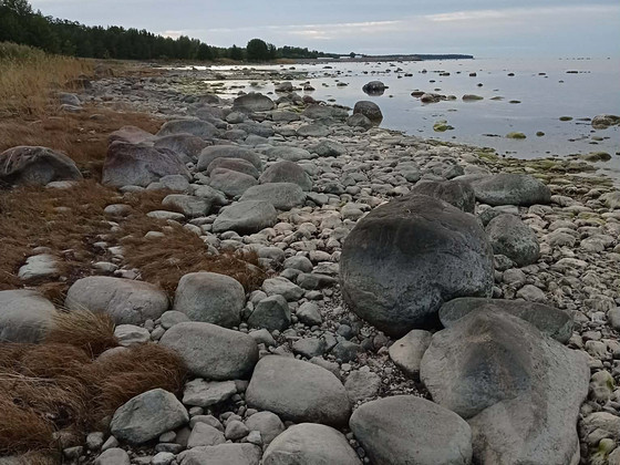 Valgo, Liiküla, Saaremaa vald, Saaremaa