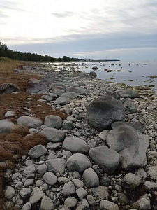 Valgo, Liiküla, Saaremaa vald, Saaremaa (1 фото из 2)