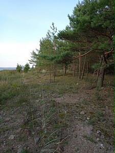 Valgo, Liiküla, Saaremaa vald, Saaremaa (2 фото из 2)