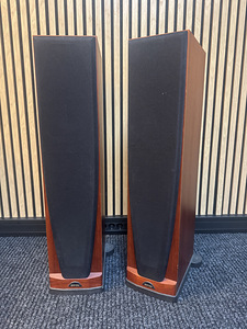 Hi-Fi акустика: Spendor, Quadral, Canton и Monitor Audio (6 фото из 10)