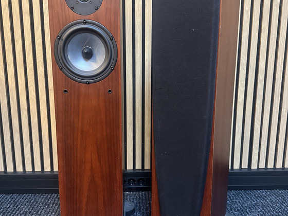 Hi-Fi акустика: Spendor, Quadral, Canton и Monitor Audio