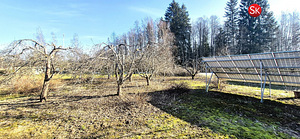 Järva maakond, Türi vald, Kolu küla, Jõekese 14 (12 фото из 31)