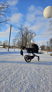 Комплект коляски Thule Urban Glide 2 (8 фото из 9)