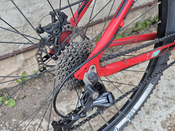 Jalgratas Trek Marlin 5