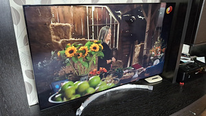 LG 55" SJ850V. (2 фото из 5)