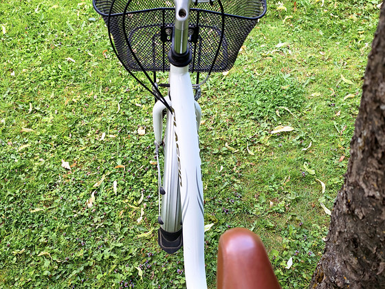 Classic Comfort (26", 7 käiku, korviga)