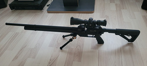 FX Airguns Dreamline Tactical PCP, пневматическая винтовка (1 фото из 4)