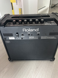 Roland Cube (2 фото из 3)