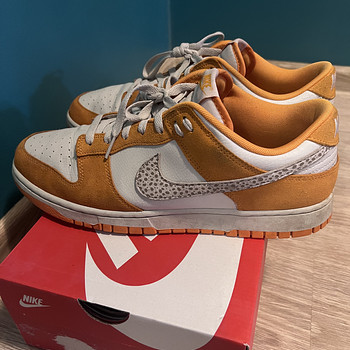Nike dunk low 46