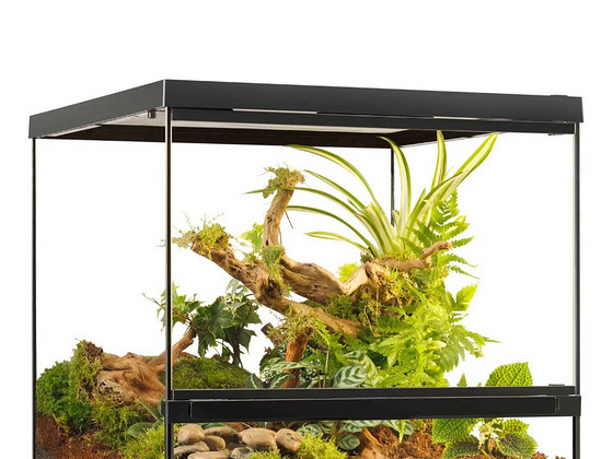 Terraarium