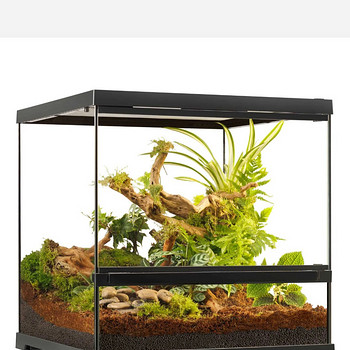 Terraarium