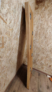 Tamme servamata plangust laelamp (2 foto / 2)