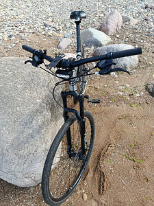 Jalgratas Classic PRO 29 (4 foto / 7)