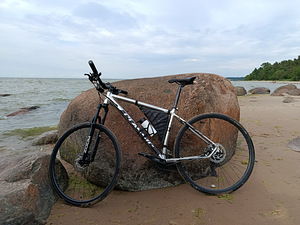 Jalgratas Classic PRO 29 (5 foto / 7)