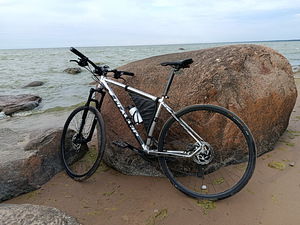 Jalgratas Classic PRO 29 (6 foto / 7)