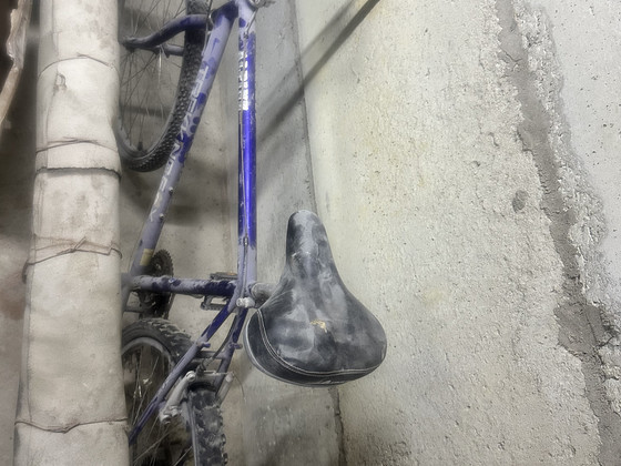 Trek Alpine jalgratas 28”