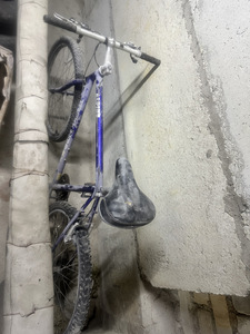 Trek Alpine jalgratas 28” (1 фото из 2)