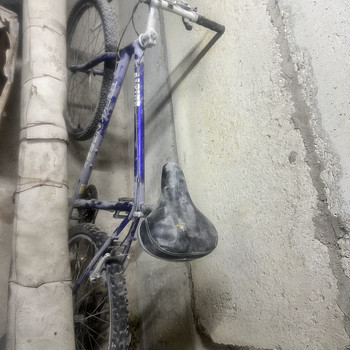 Trek Alpine jalgratas 28”