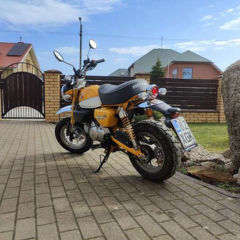 Honda monkey