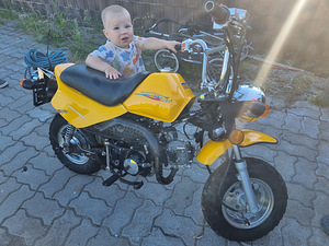 Honda Monkey (4 фото из 4)
