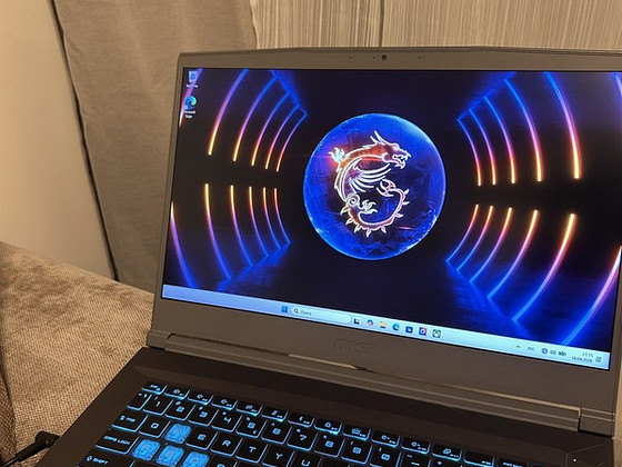 MSI Thin 15 B13VF