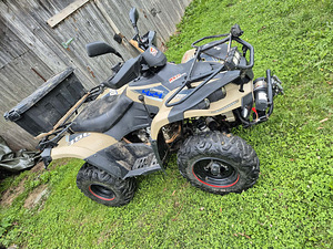 Linhai lh300atv-3d t3 (6 foto / 8)