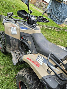 Linhai lh300atv-3d t3 (5 foto / 8)