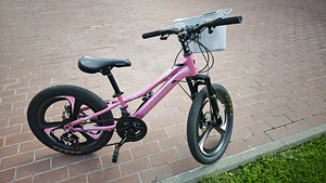 Jalgrattas 20 (x 2.35 lai). (2 foto / 4)