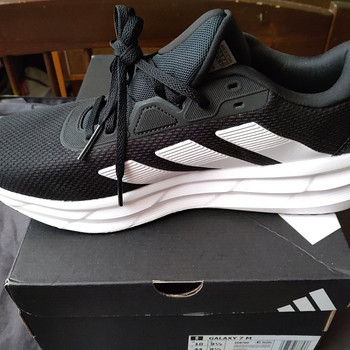 adidas tossud