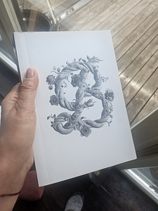 Raamat Zagmeister ja Walsh "Ilust" (1 foto / 6)