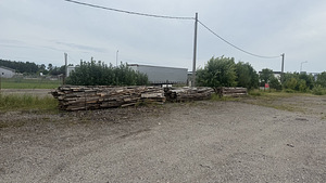 Дрова (2 фото из 6)