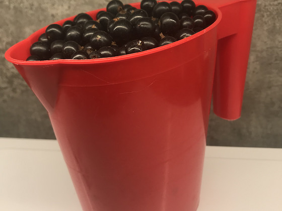 Mustsõstar 1 L
