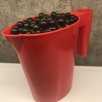 Mustsõstar 1 L