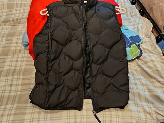 Vest